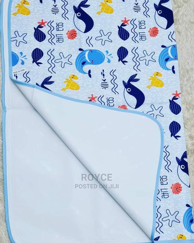 Mackintosh - main view