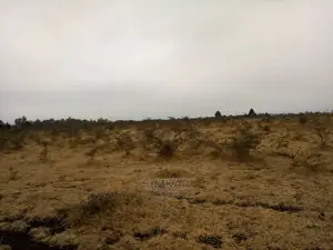 5-Acres of Land for Sale in Olooloitikosh/Sholinke/Oloosirik