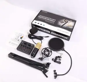 Studio Condenser Professional Microphone