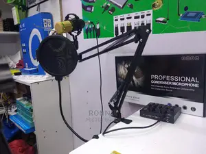 Studio Condenser Professional Microphone
