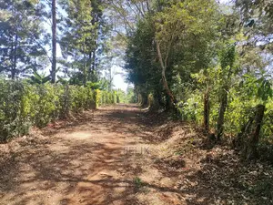 Karatina Ruthagati 5.5 Acres
