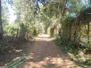Karatina Ruthagati 5.5 Acres