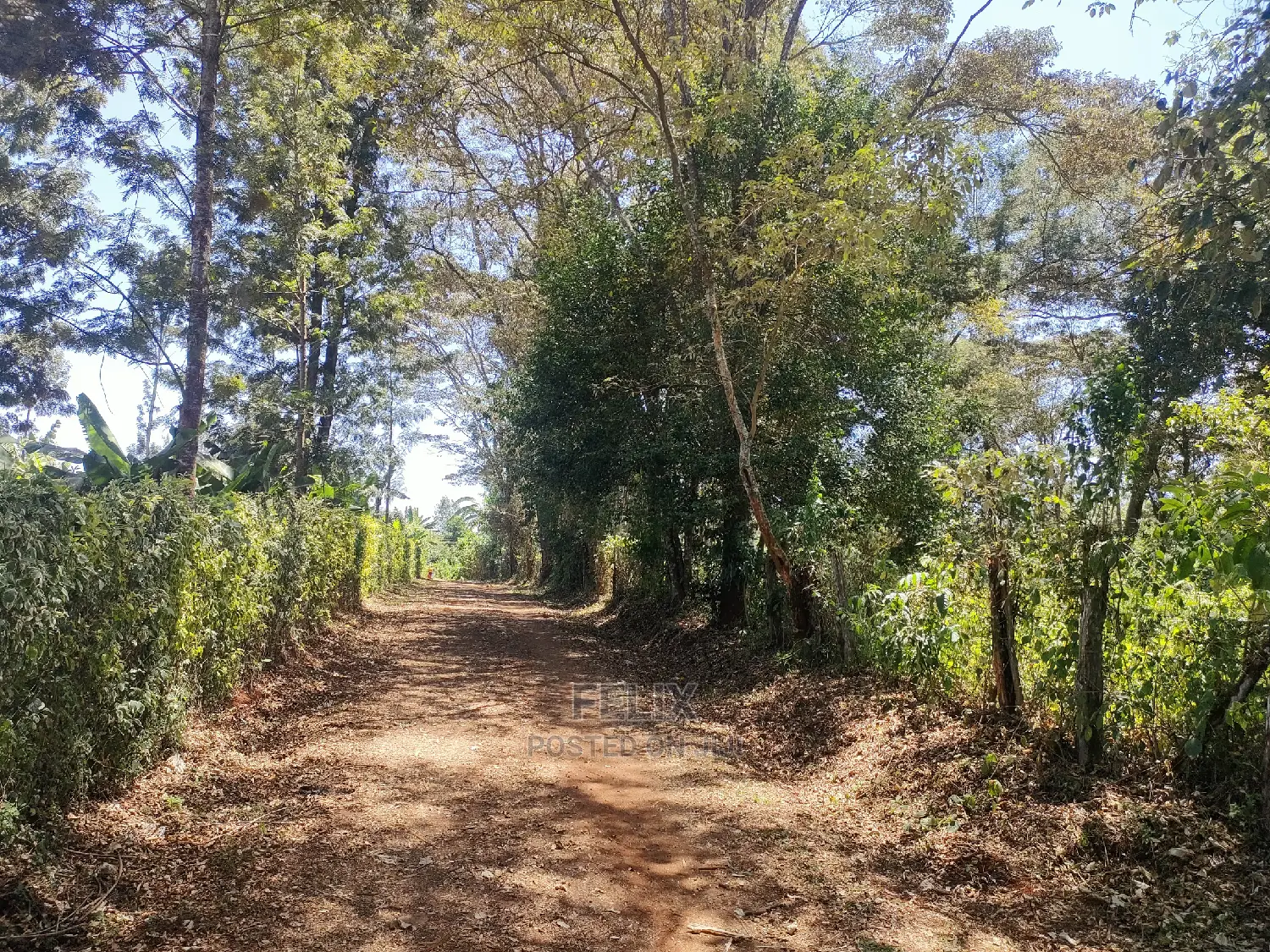 Karatina Ruthagati 5.5 Acres