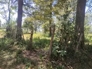 Karatina Ruthagati 5.5 Acres