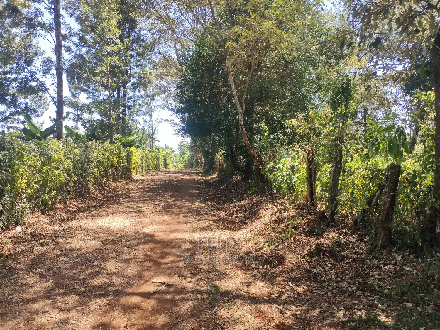 Karatina Ruthagati 5.5 Acres