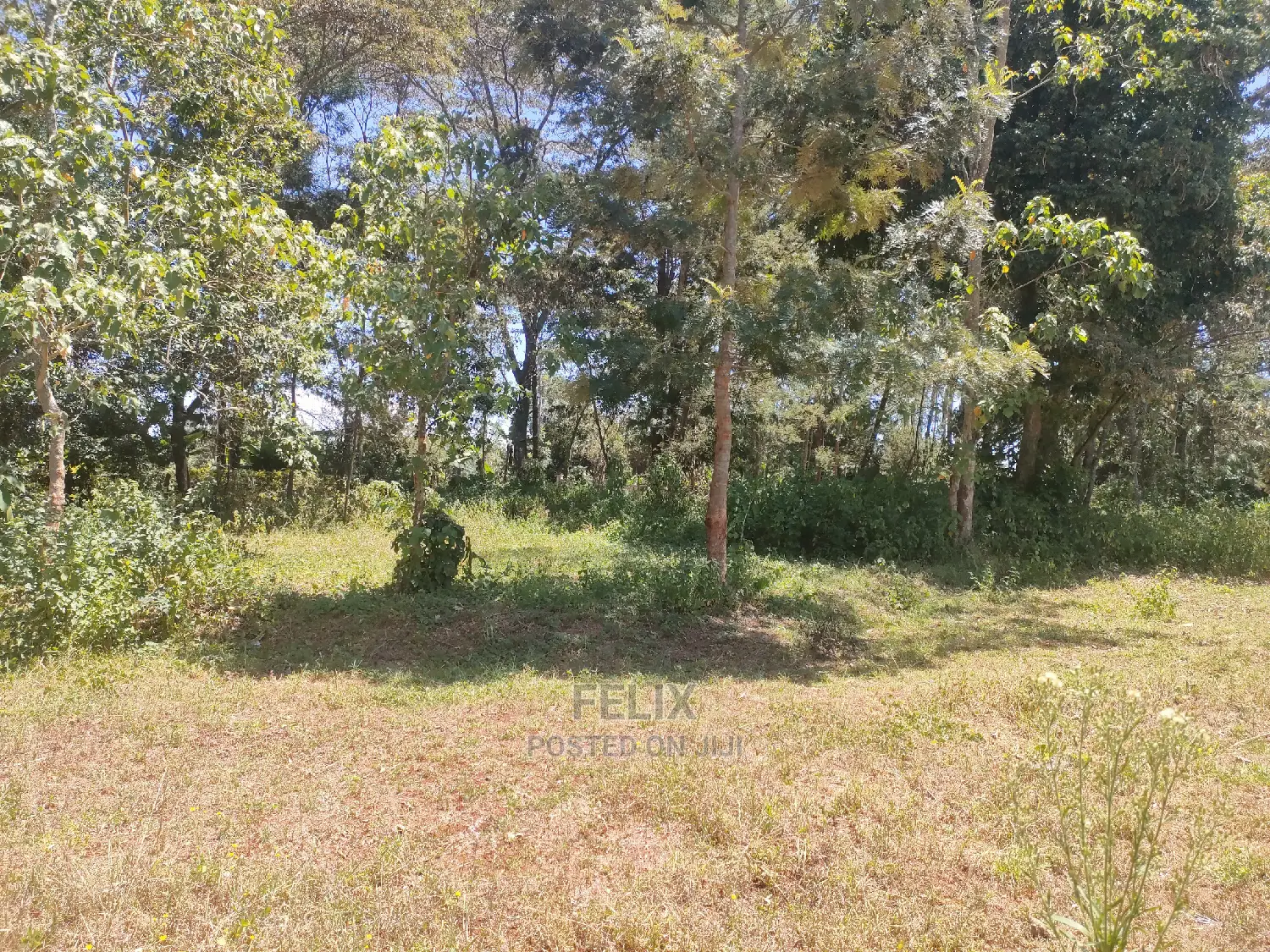 Karatina Ruthagati 5.5 Acres
