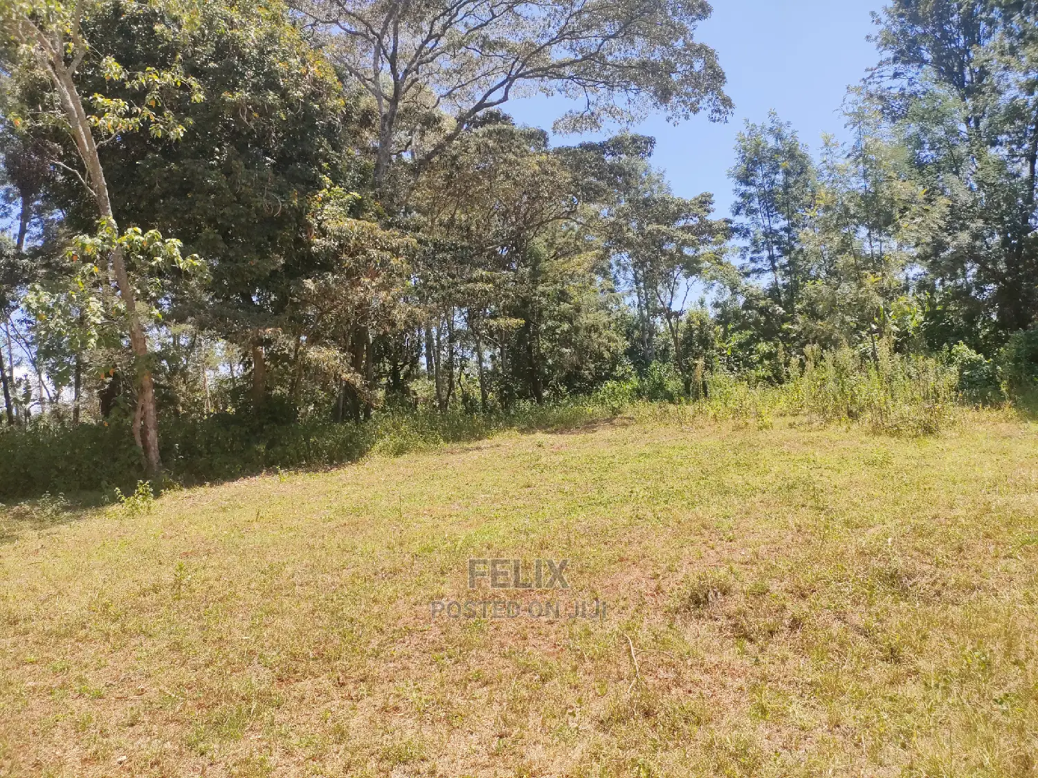 Karatina Ruthagati 5.5 Acres