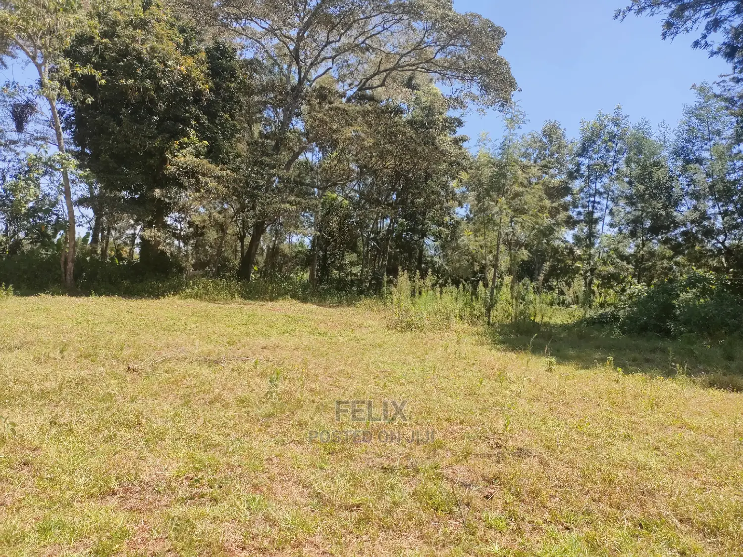 Karatina Ruthagati 5.5 Acres