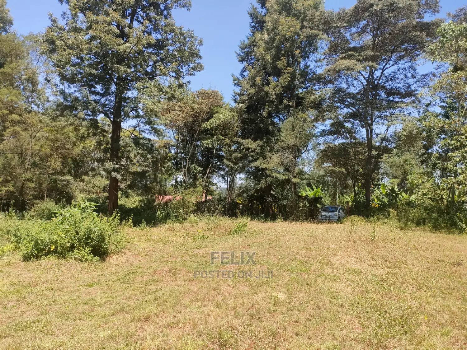 Karatina Ruthagati 5.5 Acres