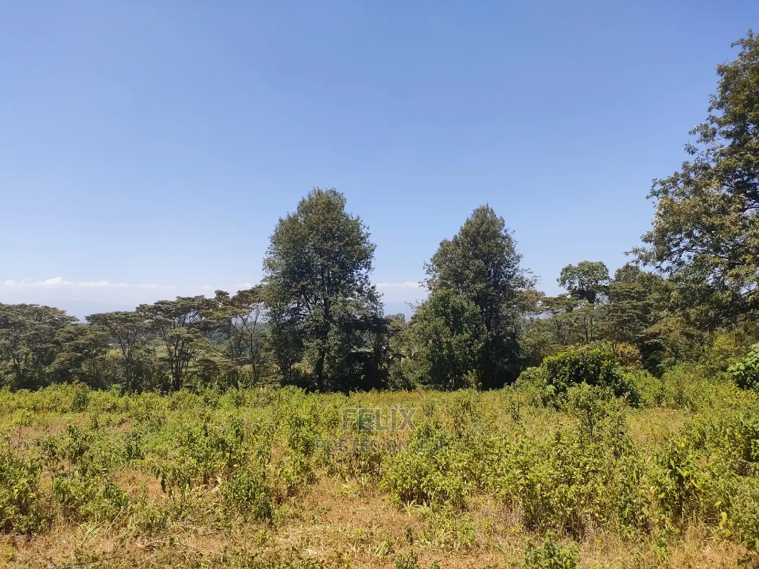 Karatina Ruthagati 5.5 Acres