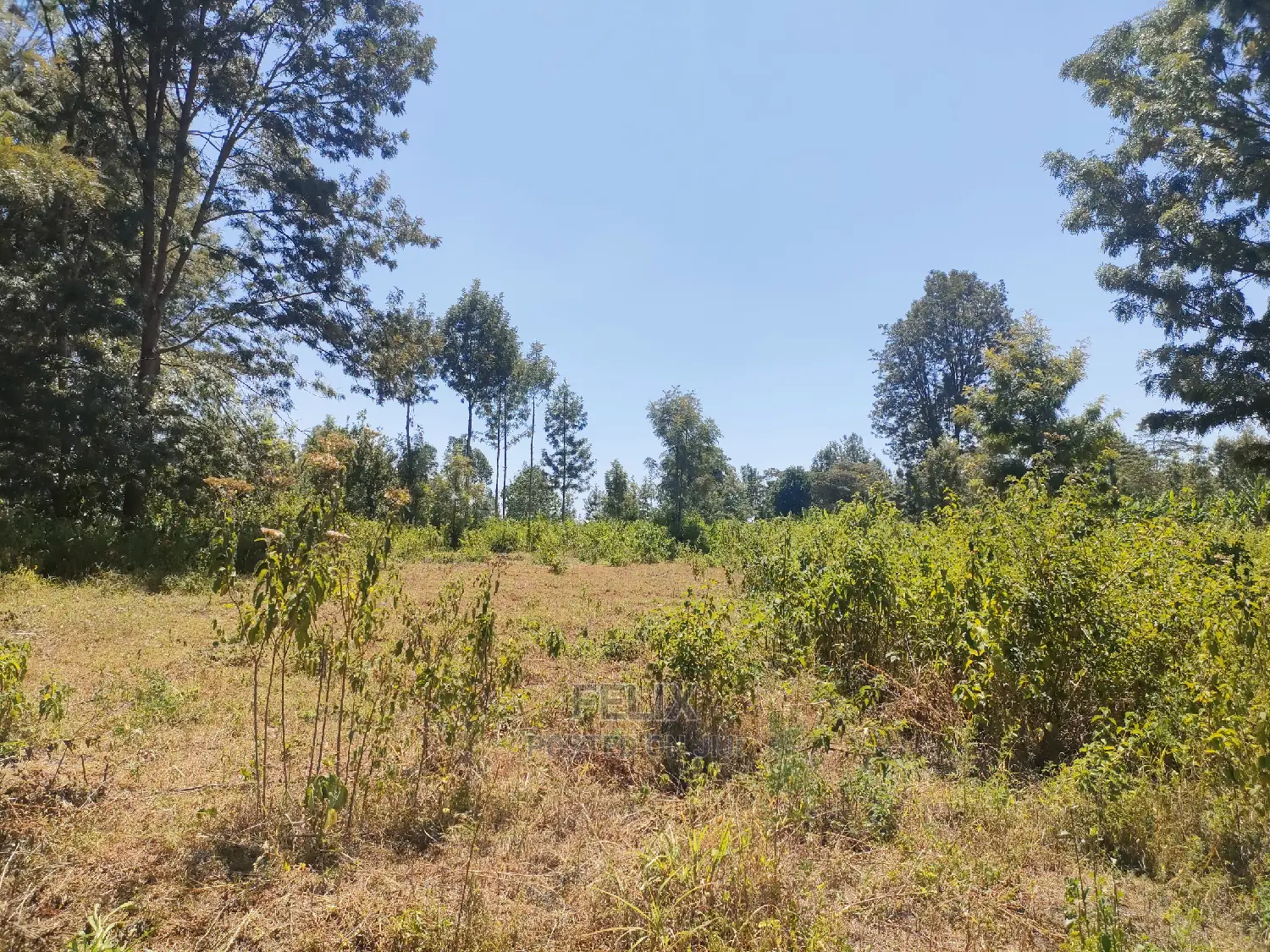 Karatina Ruthagati 5.5 Acres