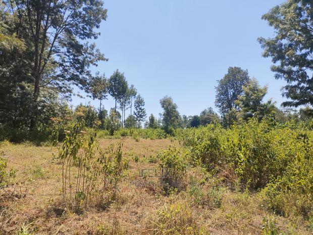 Karatina Ruthagati 5.5 Acres - thumbnail 11