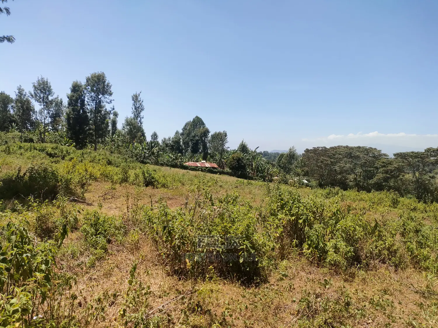 Karatina Ruthagati 5.5 Acres