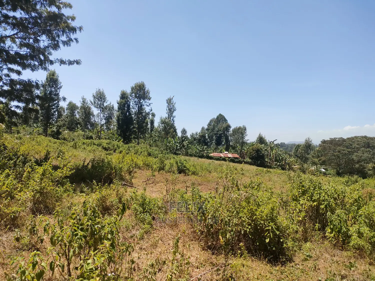 Karatina Ruthagati 5.5 Acres