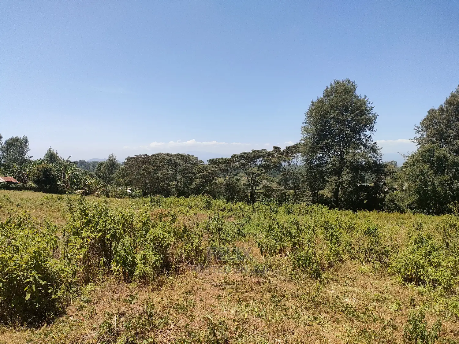 Karatina Ruthagati 5.5 Acres