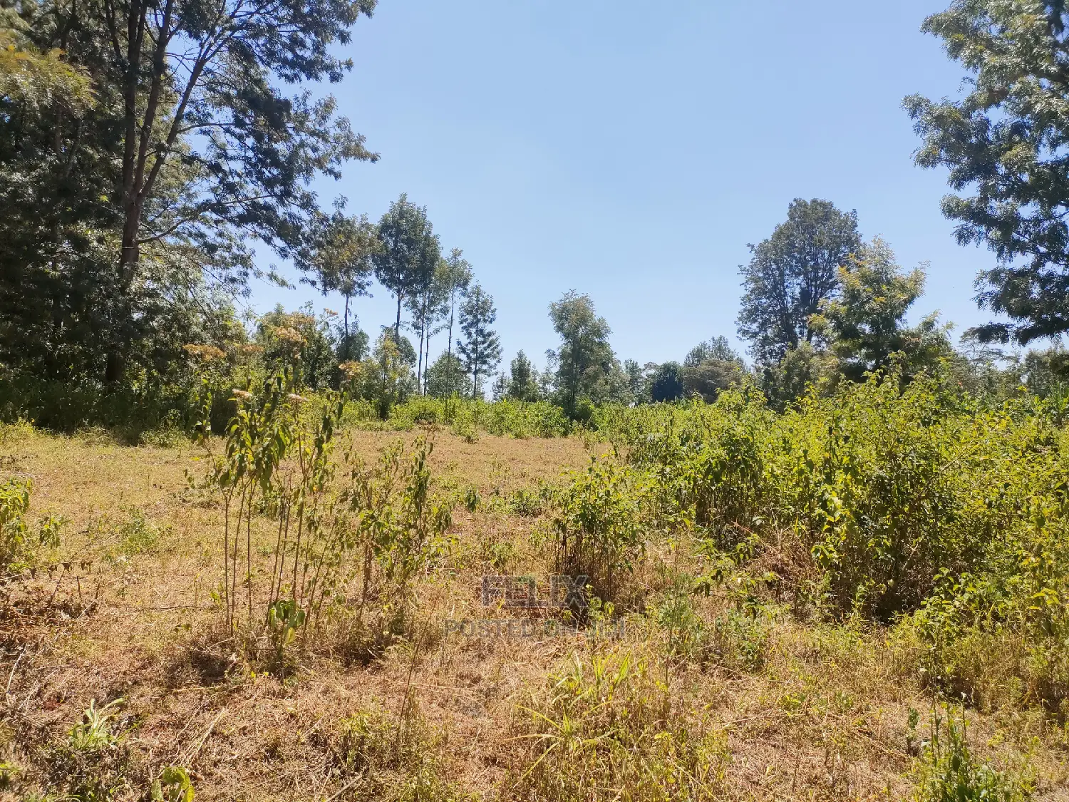 Karatina Ruthagati 5.5 Acres