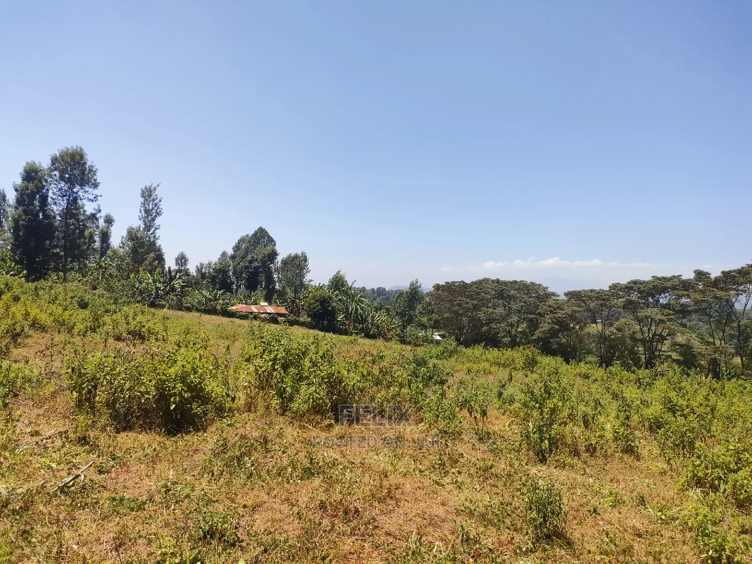 Karatina Ruthagati 5.5 Acres