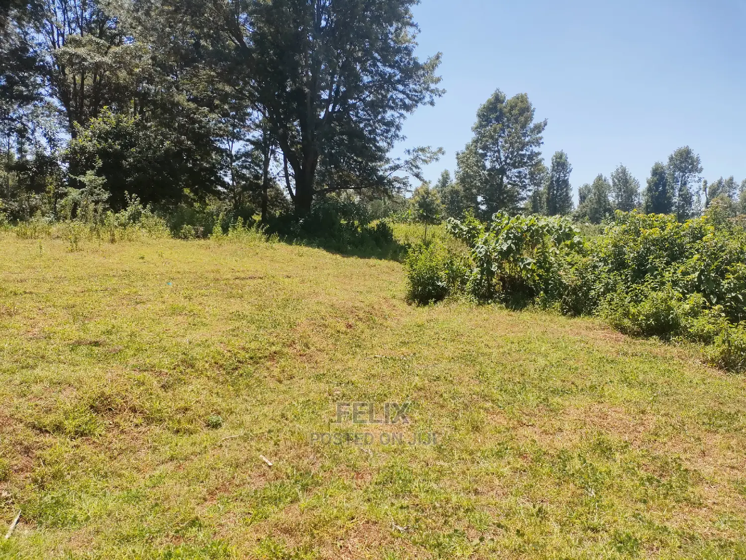 Karatina Ruthagati 5.5 Acres