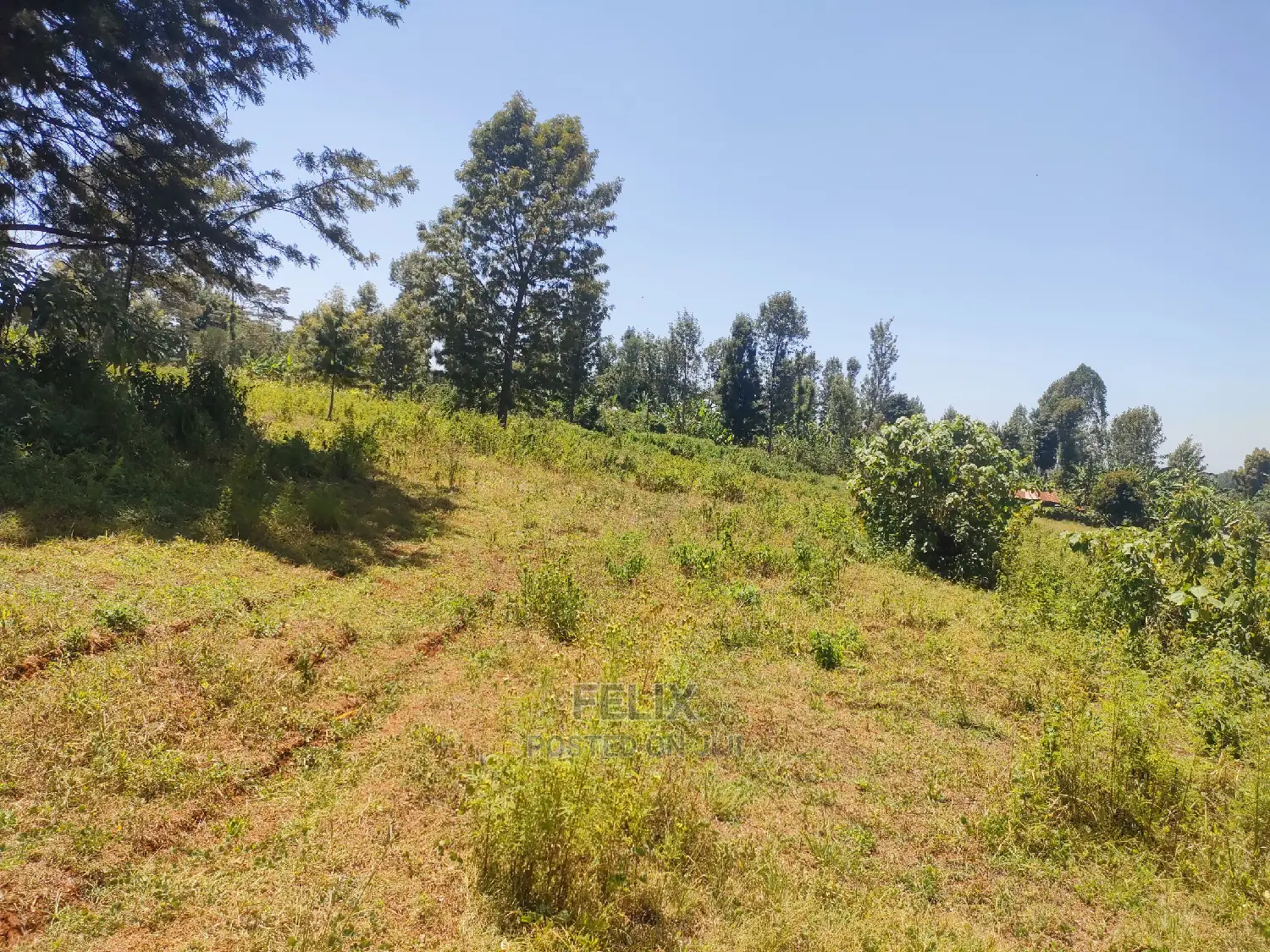 Karatina Ruthagati 5.5 Acres