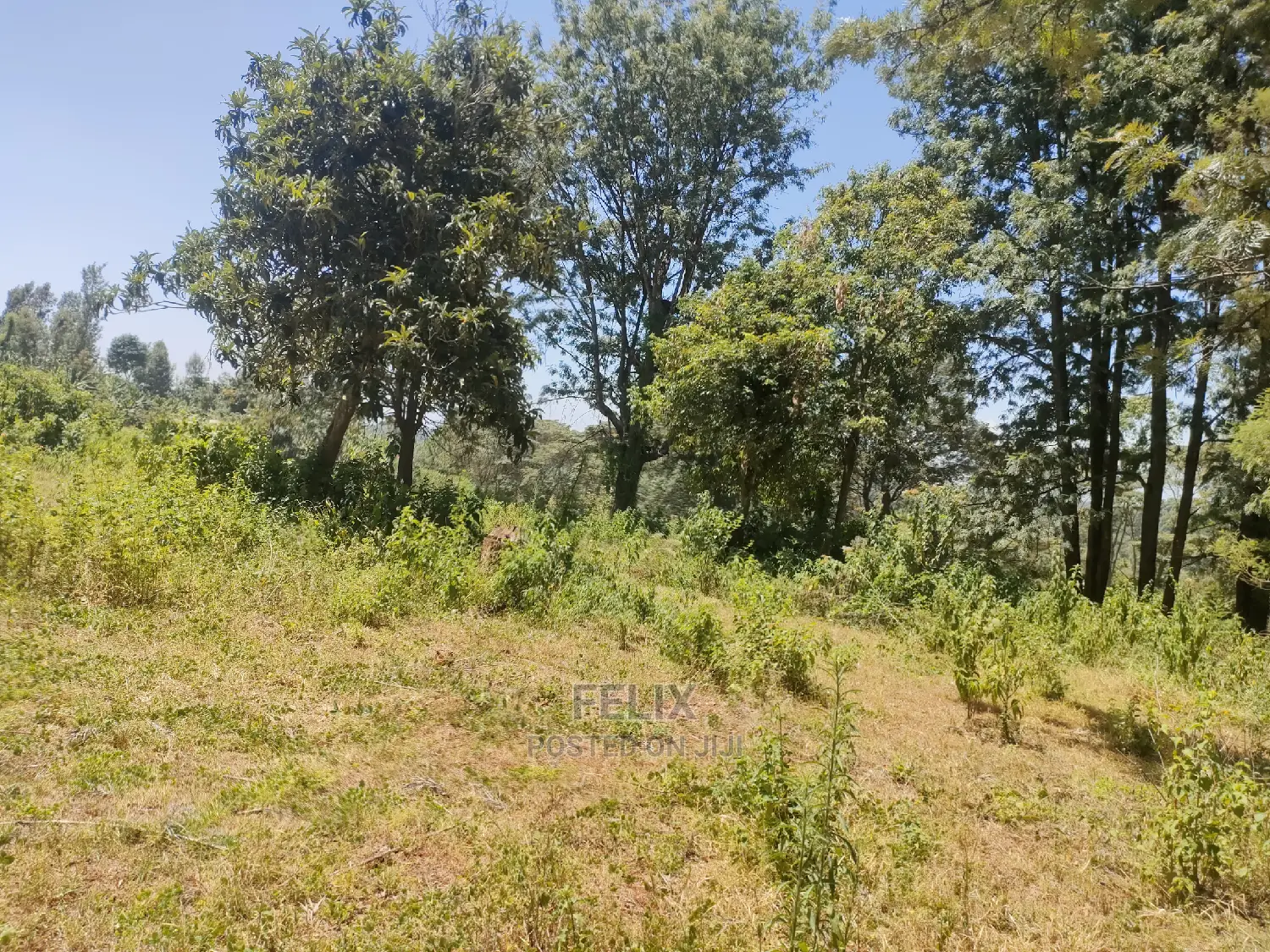 Karatina Ruthagati 5.5 Acres