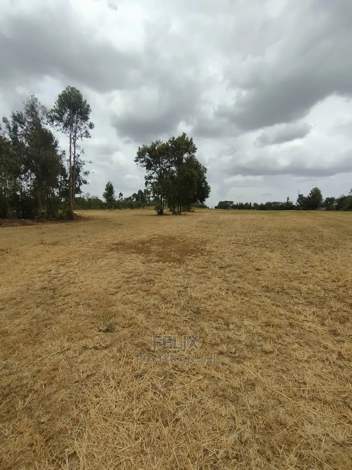 Nanyuki/Mirera 6.5 Acres Touching Main Tarmac