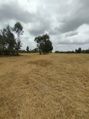 Nanyuki/Mirera 6.5 Acres Touching Main Tarmac