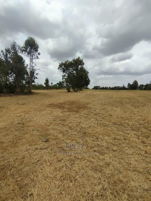 Nanyuki/Mirera 6.5 Acres Touching Main Tarmac - thumbnail 3