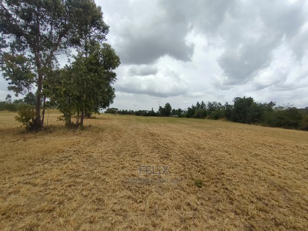 Nanyuki/Mirera 6.5 Acres Touching Main Tarmac - main view