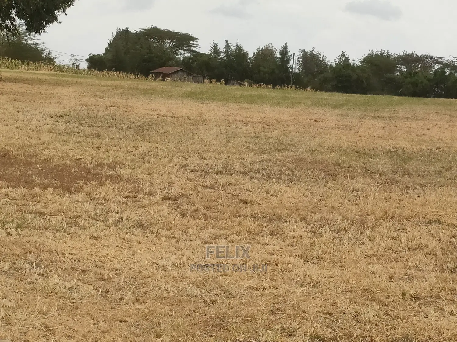 Nanyuki/Mirera 6.5 Acres Touching Main Tarmac