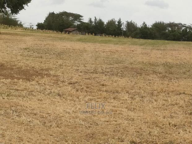 Nanyuki/Mirera 6.5 Acres Touching Main Tarmac - thumbnail 5
