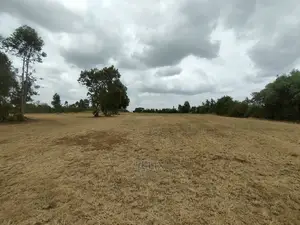 Nanyuki/Mirera 6.5 Acres Touching Main Tarmac
