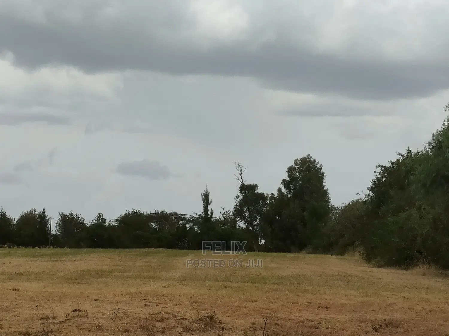 Nanyuki/Mirera 6.5 Acres Touching Main Tarmac
