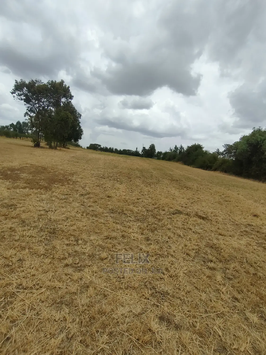 Nanyuki/Mirera 6.5 Acres Touching Main Tarmac