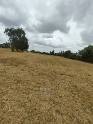 Nanyuki/Mirera 6.5 Acres Touching Main Tarmac