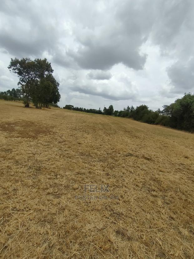 Nanyuki/Mirera 6.5 Acres Touching Main Tarmac - thumbnail 2