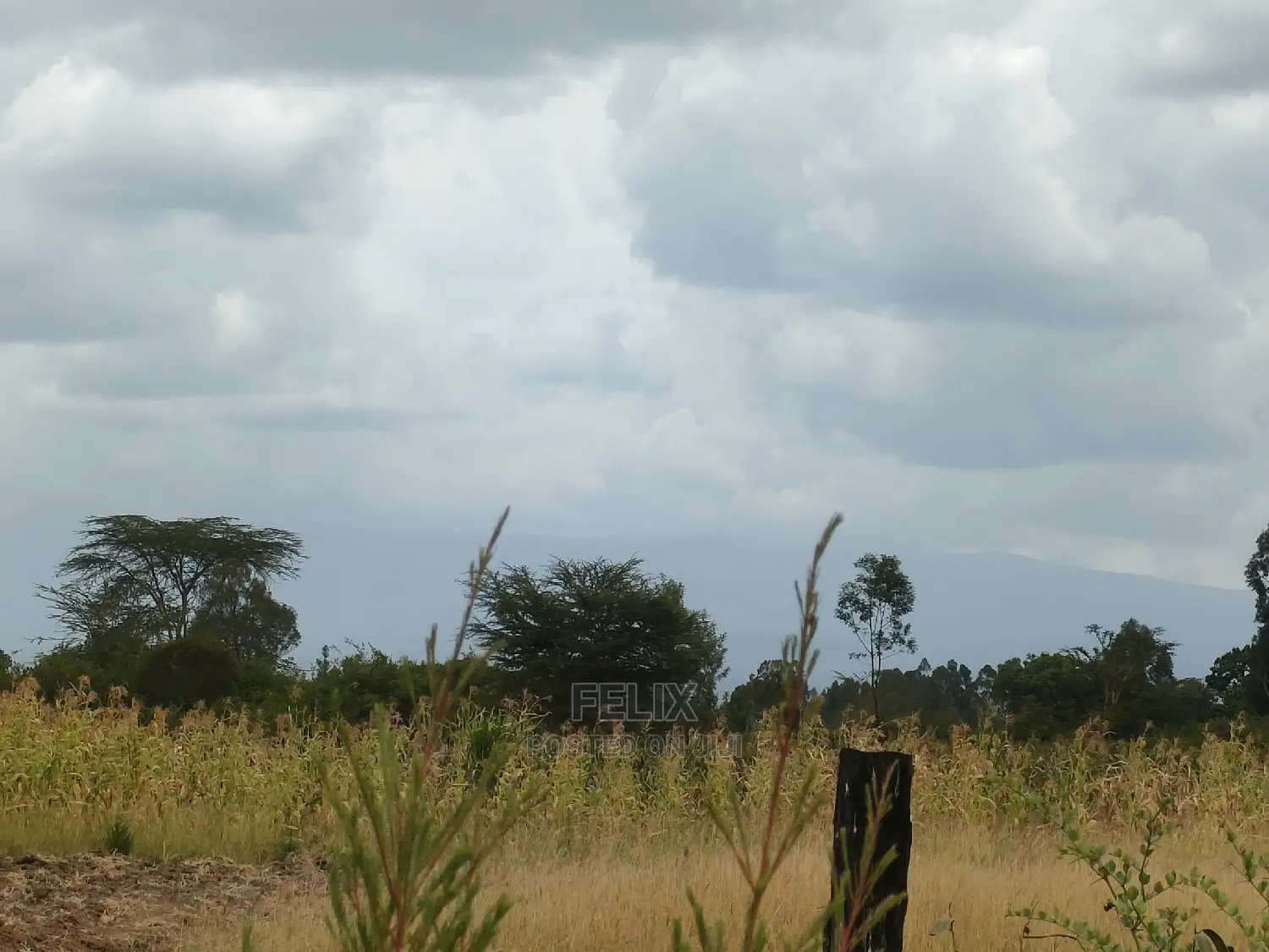 Nanyuki/Mirera 6.5 Acres Touching Main Tarmac