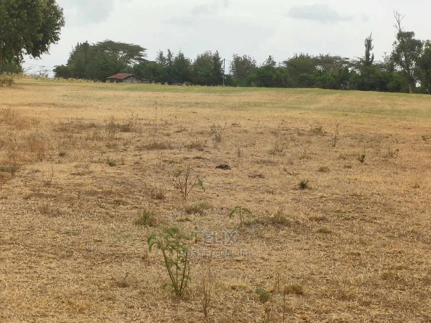 Nanyuki/Mirera 6.5 Acres Touching Main Tarmac