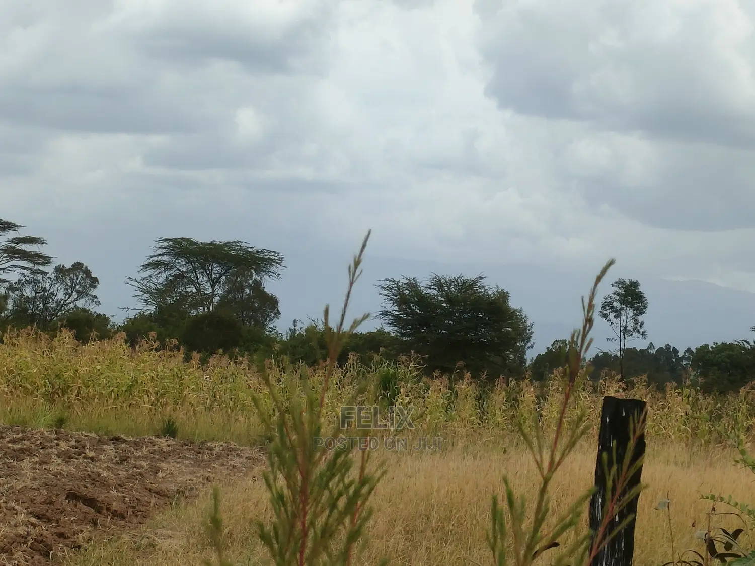 Nanyuki/Mirera 6.5 Acres Touching Main Tarmac