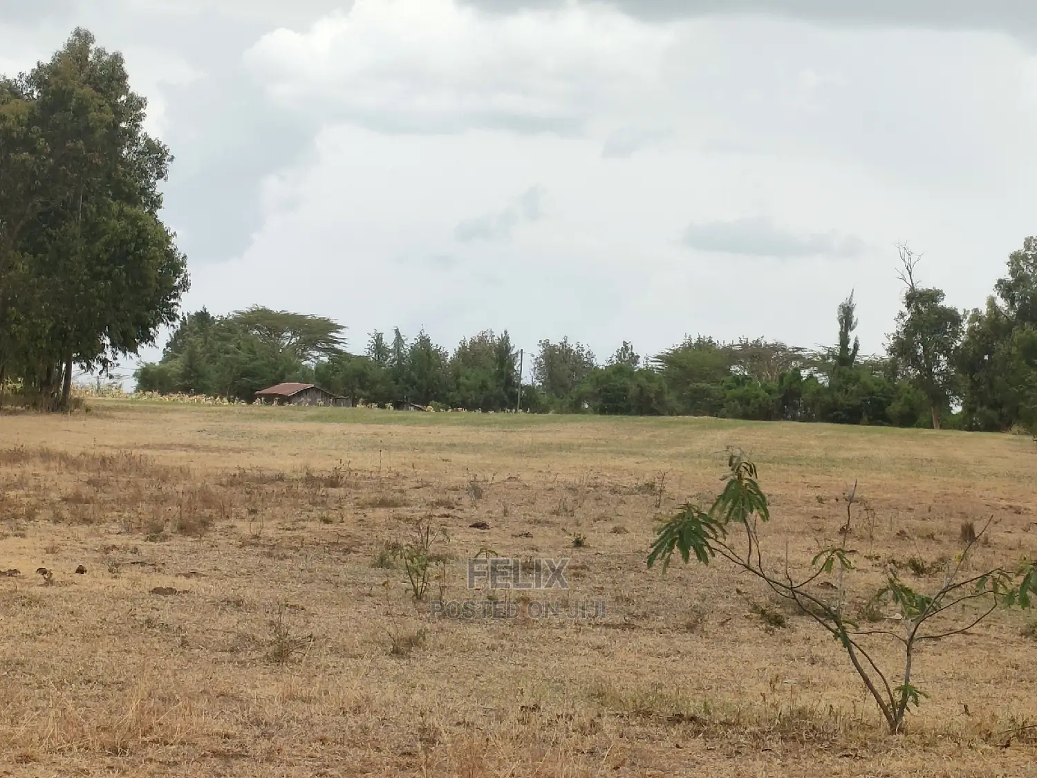 Nanyuki/Mirera 6.5 Acres Touching Main Tarmac