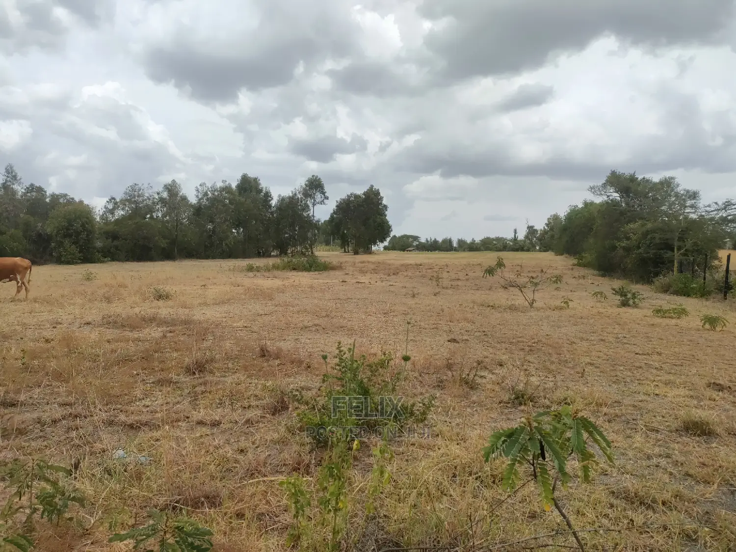 Nanyuki/Mirera 6.5 Acres Touching Main Tarmac