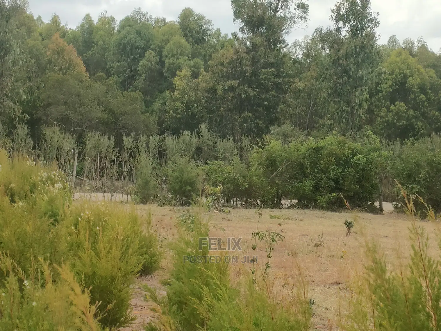 Nanyuki/Mirera 6.5 Acres Touching Main Tarmac