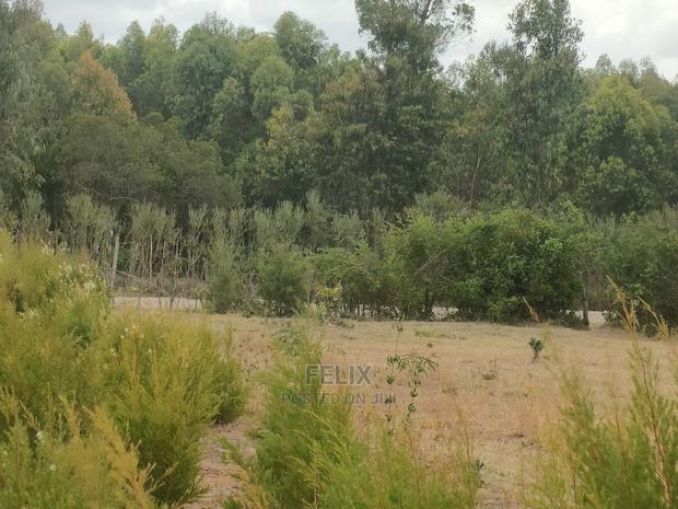 Nanyuki/Mirera 6.5 Acres Touching Main Tarmac - thumbnail 12