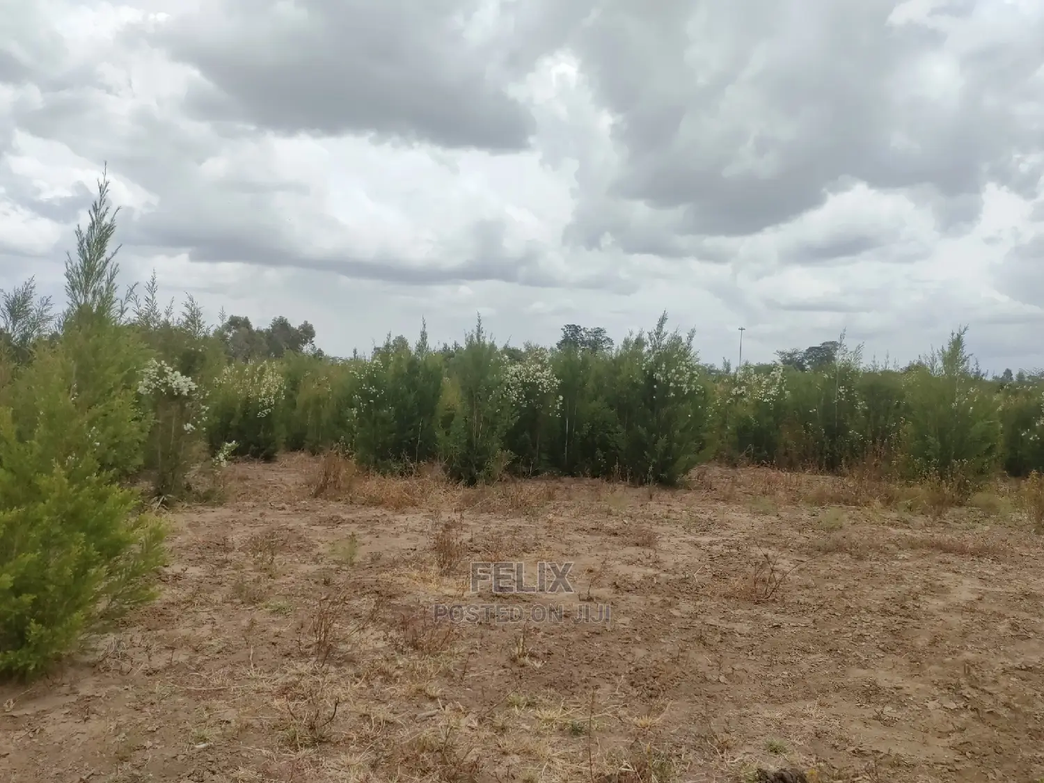 Nanyuki/Mirera 6.5 Acres Touching Main Tarmac