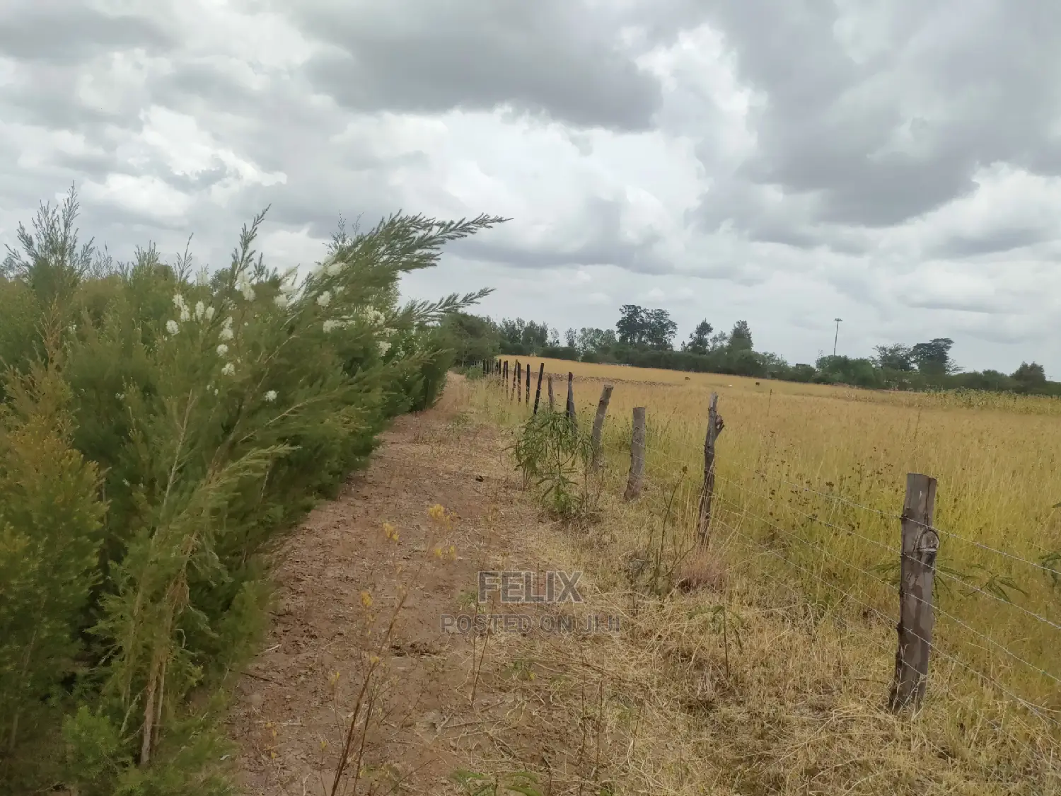 Nanyuki/Mirera 6.5 Acres Touching Main Tarmac