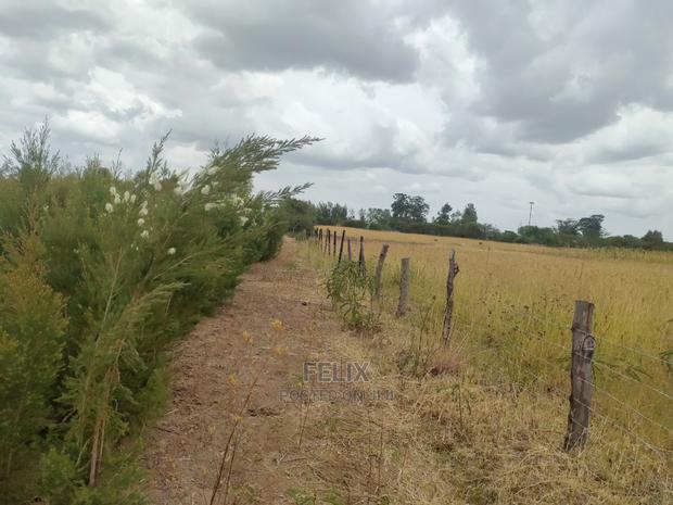 Nanyuki/Mirera 6.5 Acres Touching Main Tarmac - thumbnail 14