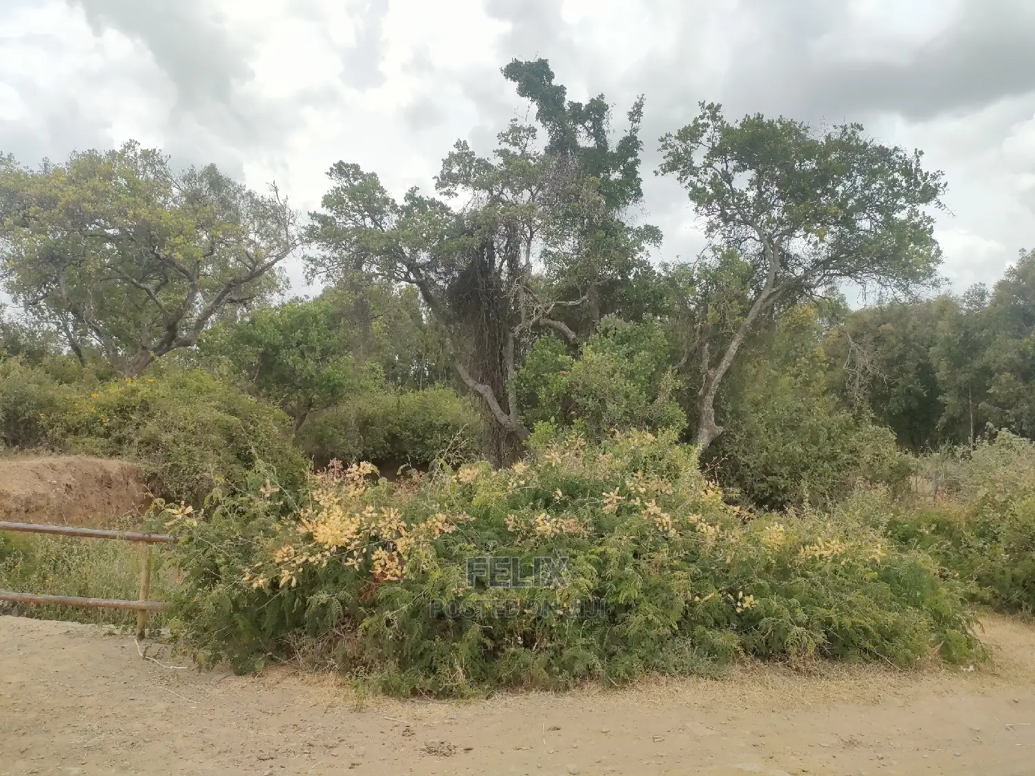 Nanyuki/Mirera 6.5 Acres Touching Main Tarmac