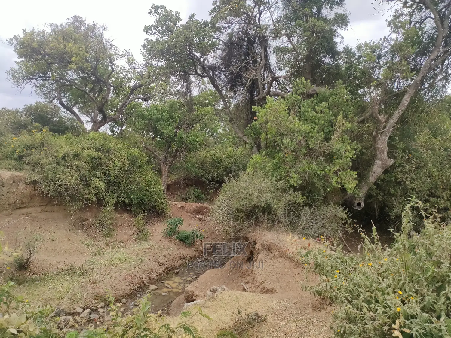 Nanyuki/Mirera 6.5 Acres Touching Main Tarmac