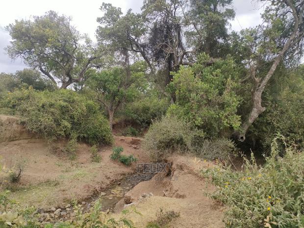 Nanyuki/Mirera 6.5 Acres Touching Main Tarmac - thumbnail 19