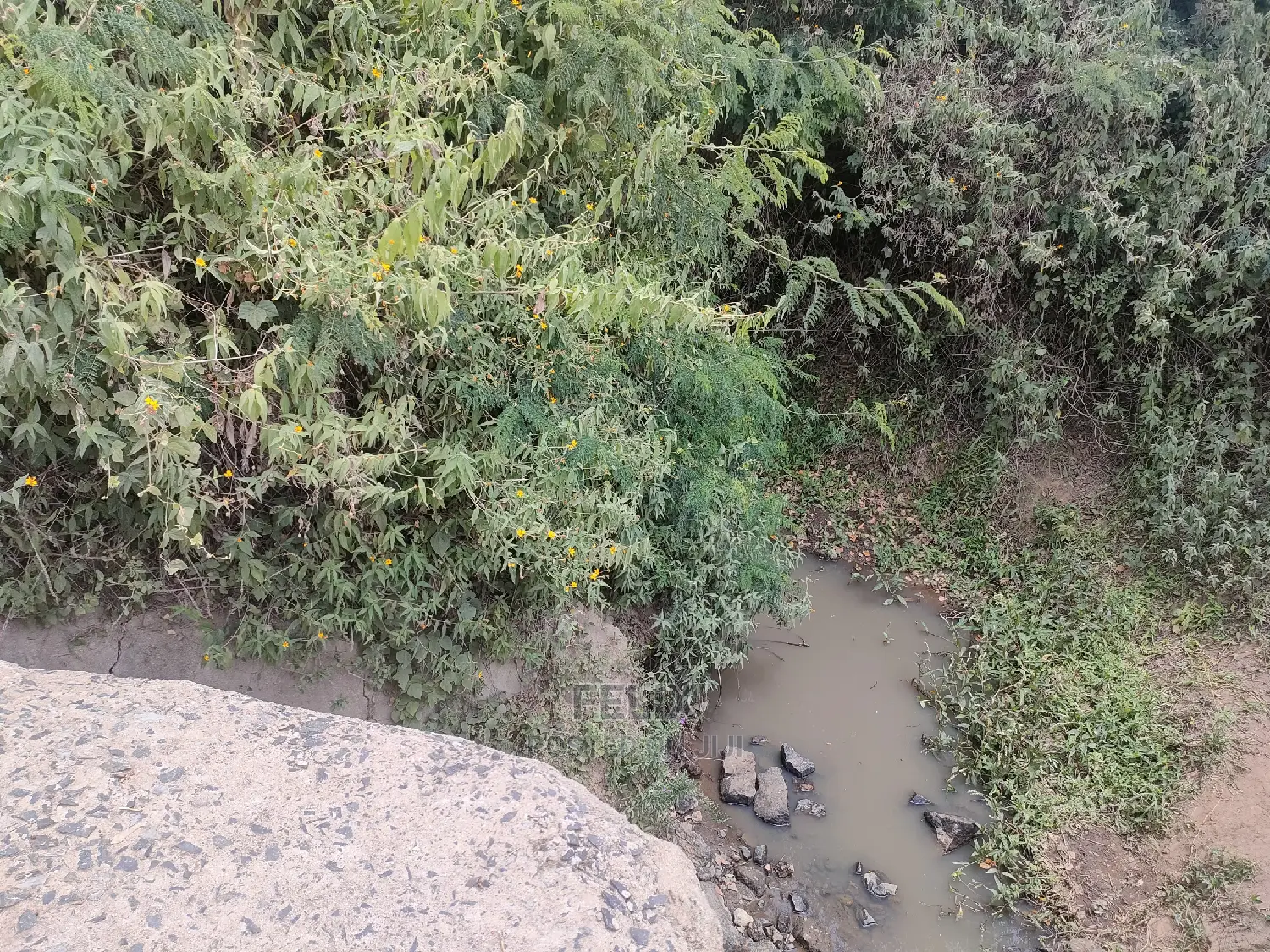 Nanyuki/Mirera 6.5 Acres Touching Main Tarmac