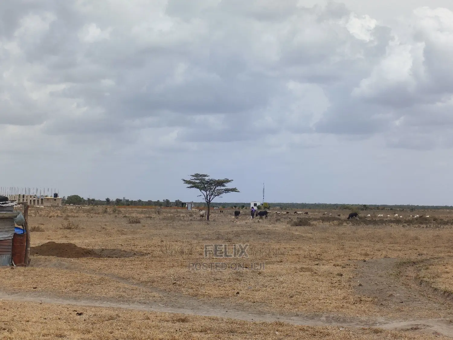 Nanyuki Sweet Waters